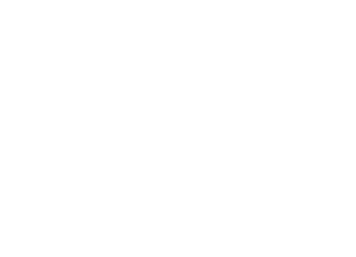 JANI Ski & Board Servis